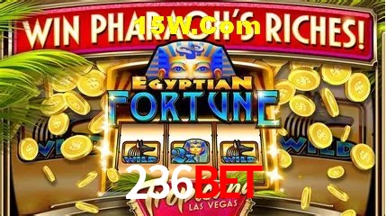 Live Casino 236Bet